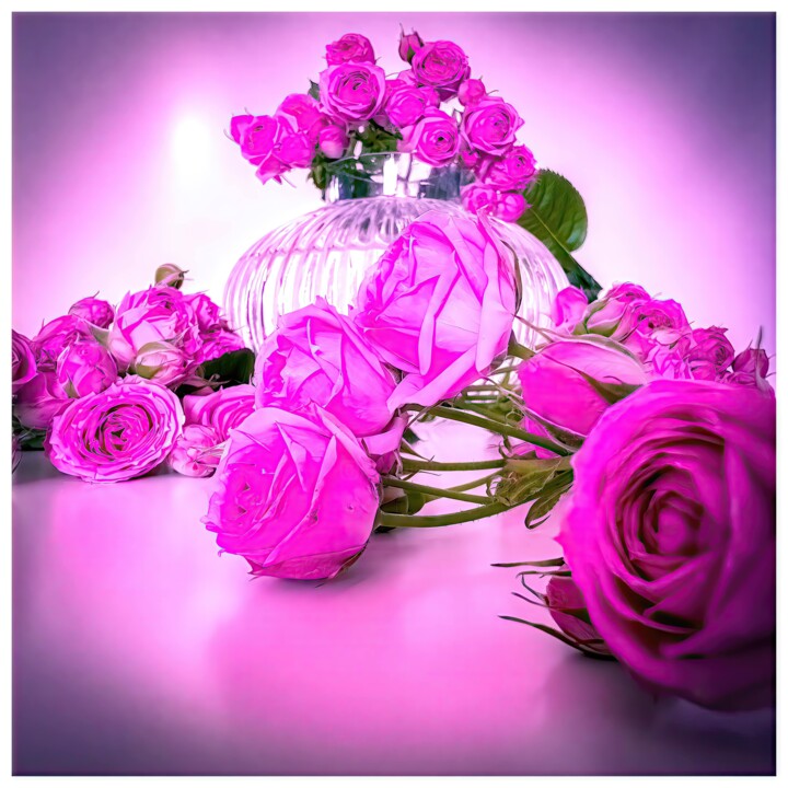 Digital Arts titled "Rosa #7542" by Alexandre Kurcek (Sandro), Original Artwork, Manipulated Photography