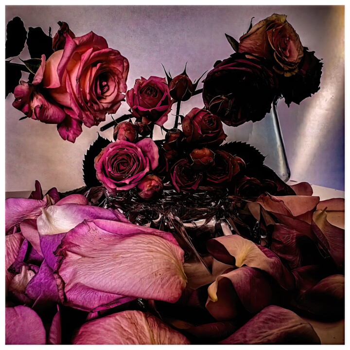 Digital Arts titled "Rosa #3467" by Alexandre Kurcek (Sandro), Original Artwork, Manipulated Photography