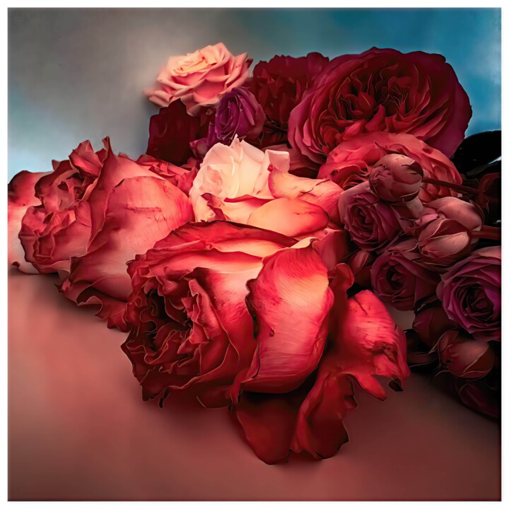 Digital Arts titled "Rosa #8687" by Alexandre Kurcek (Sandro), Original Artwork, Manipulated Photography
