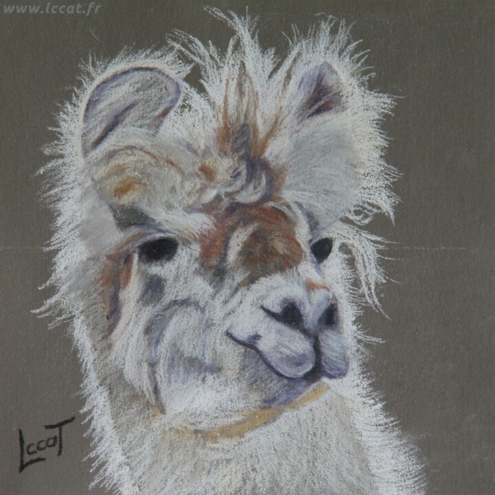 Peinture intitulée "Le lama" par Catherine Costet (Lccat), Œuvre d'art originale, Pastel