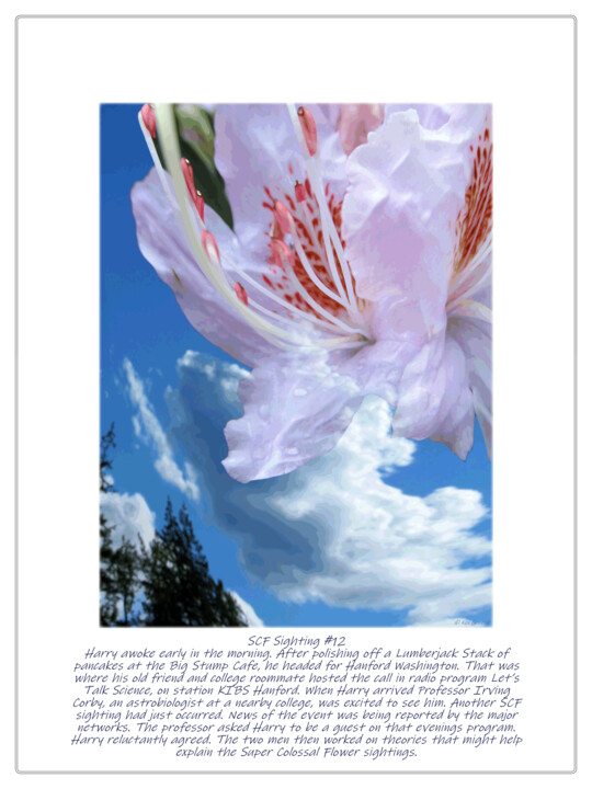 Digital Arts titled "SCF Sighting #12" by Ken Grzesik, Original Artwork, Manipulated Photography