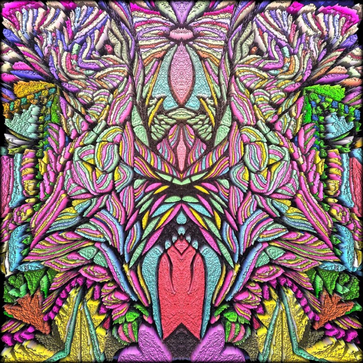 摄影 