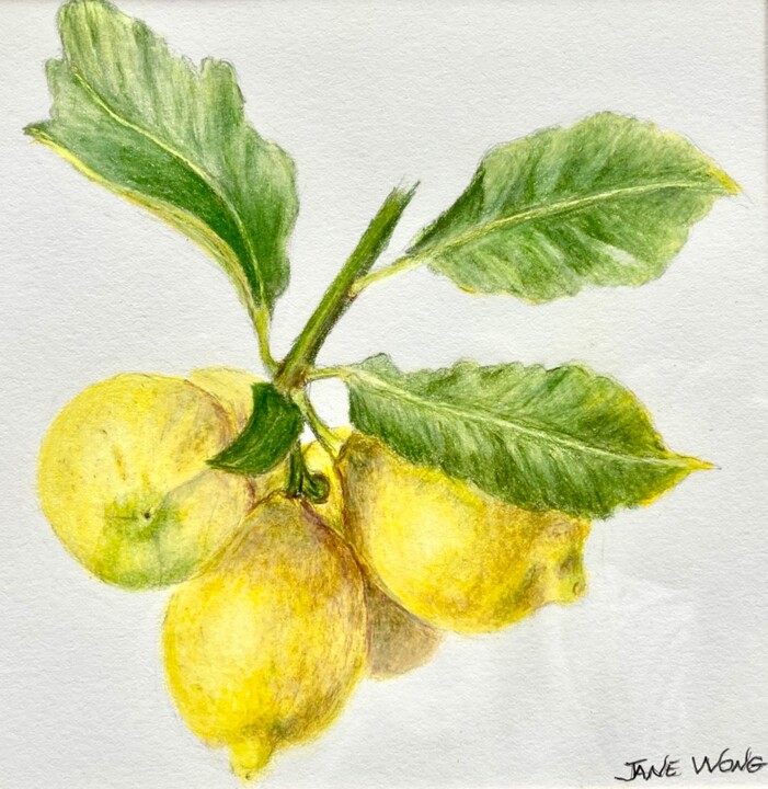Lemon Cluster 图画, 10x10 in