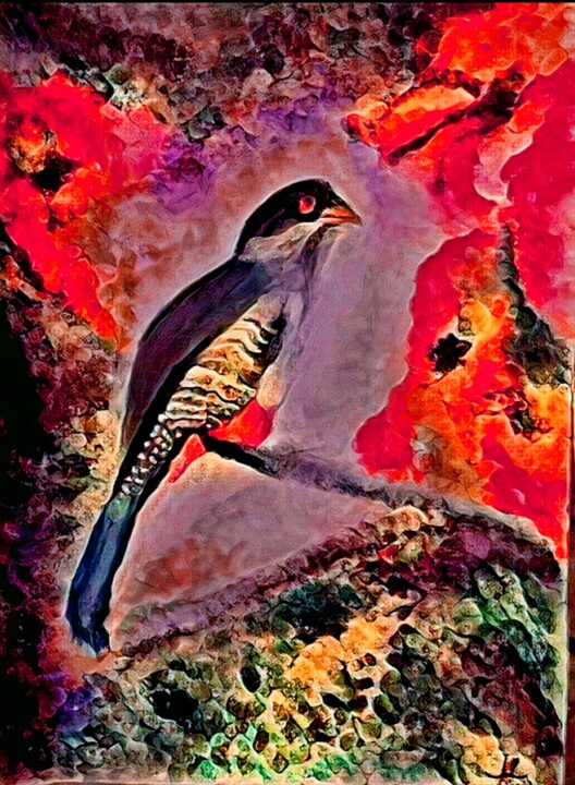 Hispaniolan Trogan 绘画, 24x20 in