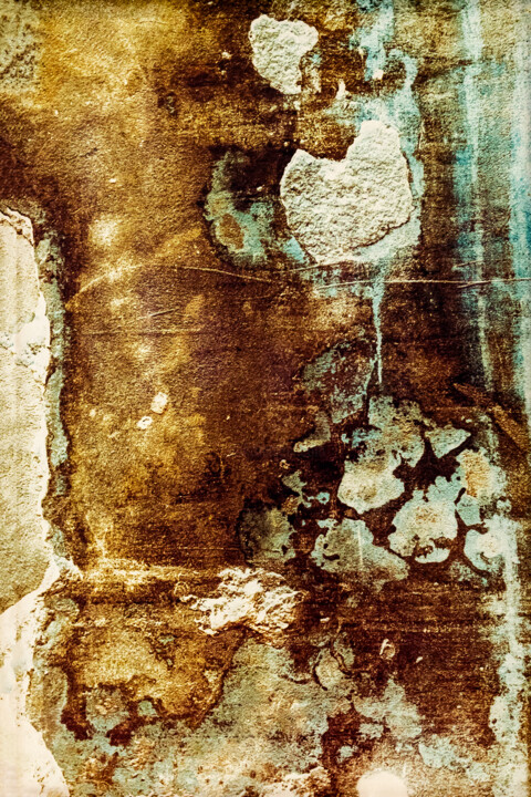 Artistic Expressions 10 摄影, 39.4x27.6 in