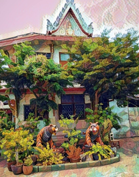 Two Tigers 摄影