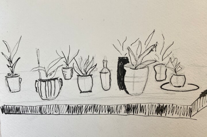 Plants in Pots 绘画, 3.9x3.2 in