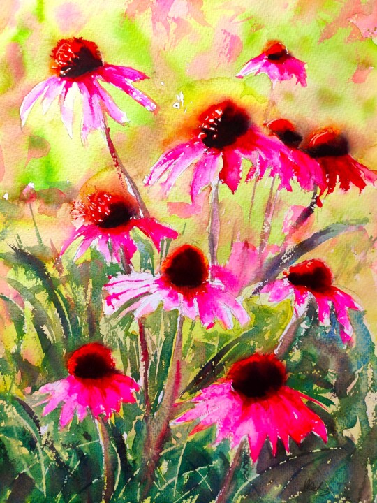 Echinacea, Purple coneflowers 绘画, 16x12 in