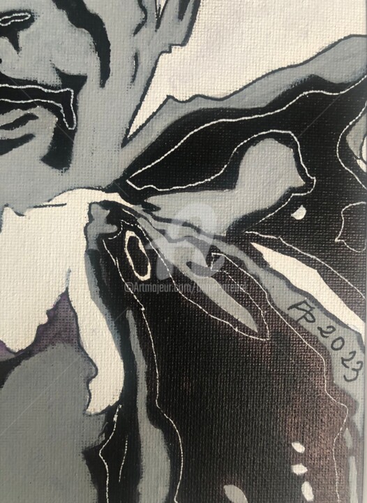 Detalles