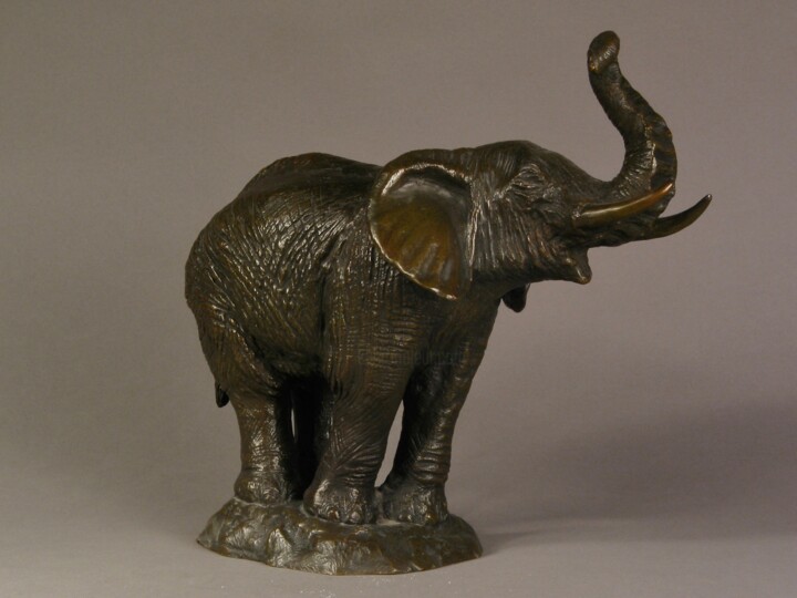Sculpture titled "ÉLÉPHANT D'AFRIQUE…" by Jean-François Leroy, Original Artwork, Bronze