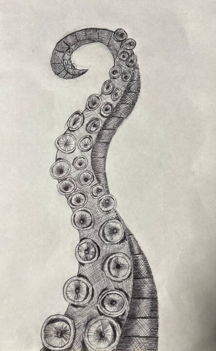 octopus 绘画, 8.3x5.9 in