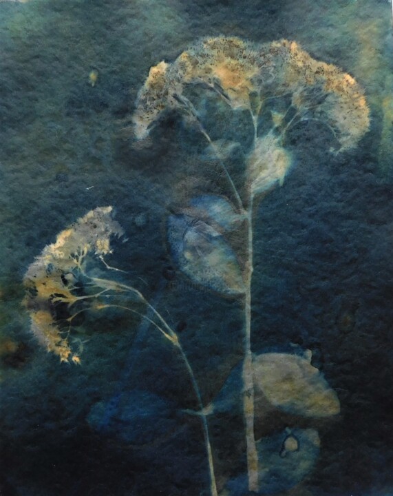 21 x 30_VEGETAL 24 印花与版画, 11.8x8.3 in