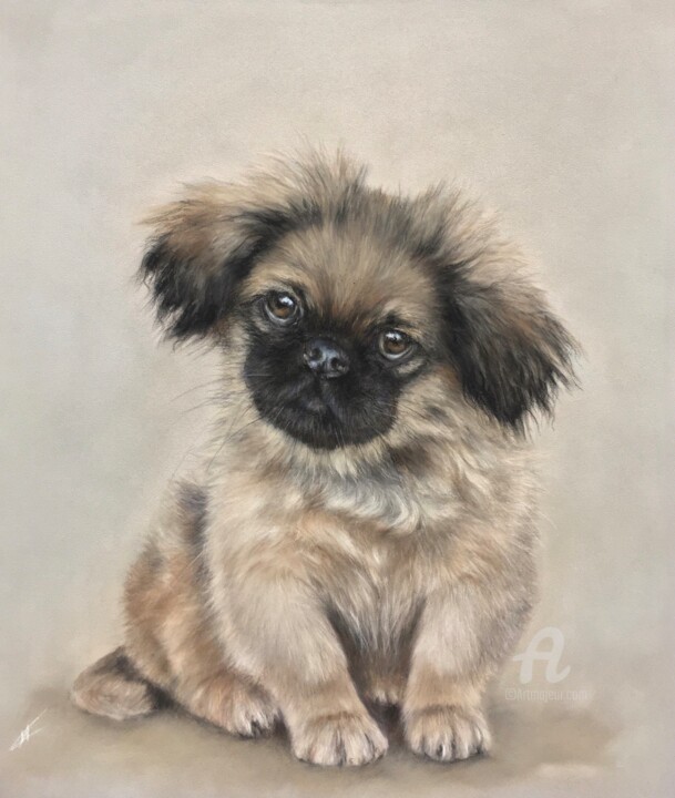 Pekingese 图画, 13.8x11.8 in