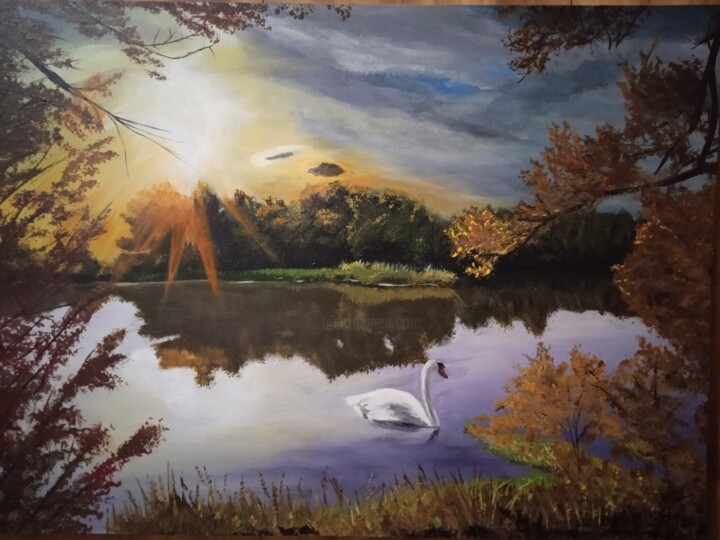 а белый лебедь на пруду 绘画, 19.7x27.6 in