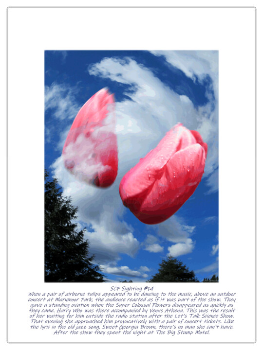 Digital Arts titled "SCF Sighting #14" by Ken Grzesik, Original Artwork, Digital Photography