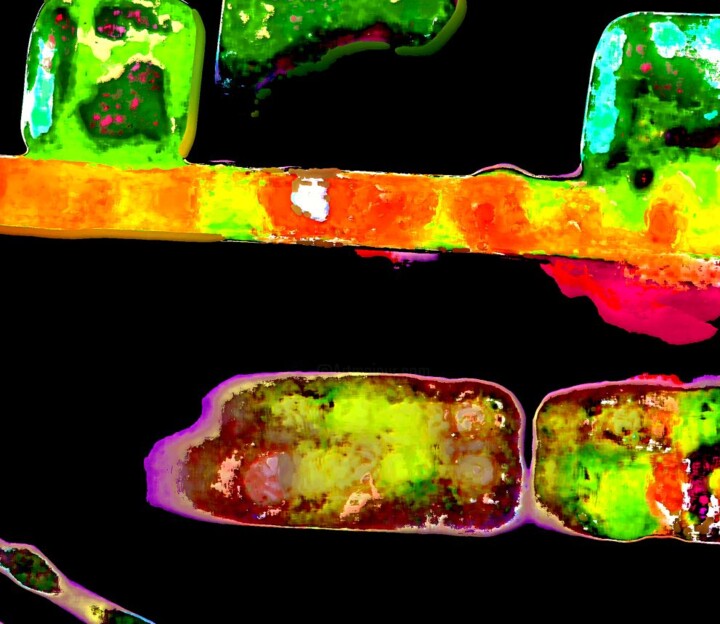 Aanvullende afbeeldingen 2