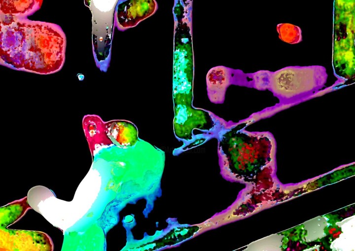 Aanvullende afbeeldingen 4