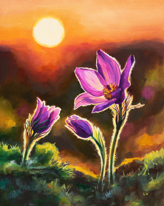 Pink anemone pulsatilla flowers 绘画, 9.8x7.9 in