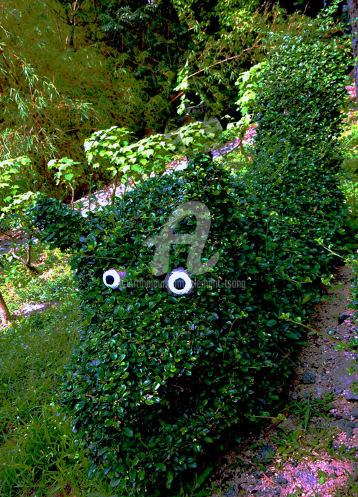 Funny Green Plant in Macau #3 Photography