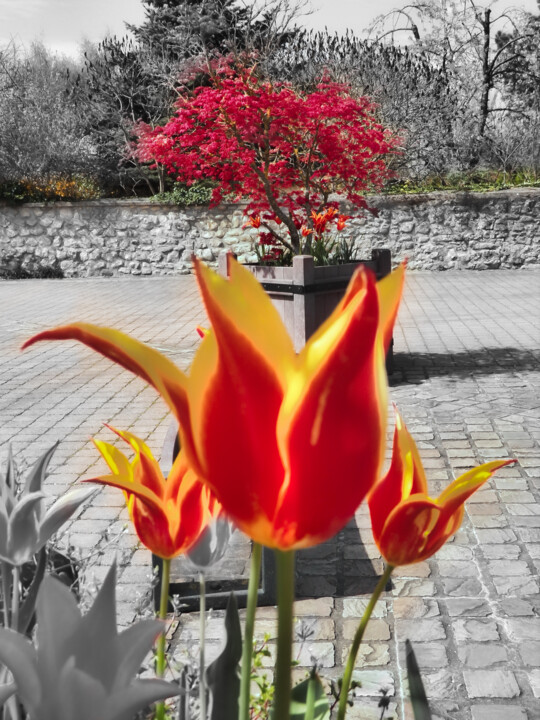 Vivid colors and running NATURE 摄影