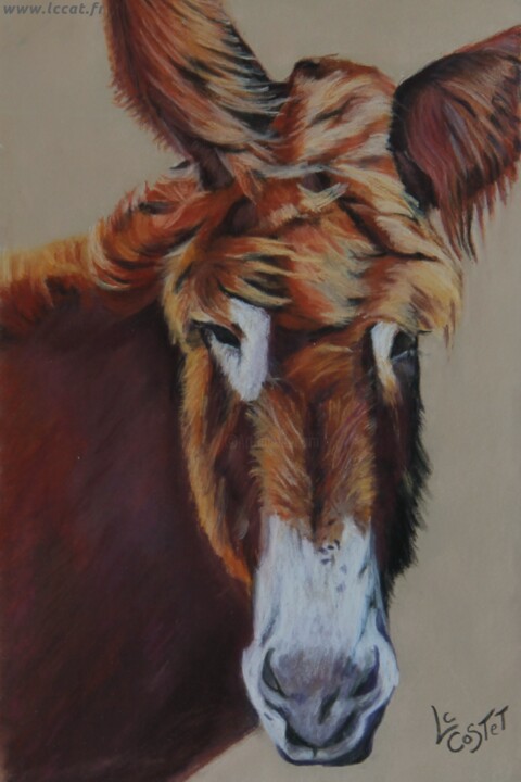 Peinture intitulée "Cadichon" par Catherine Costet (Lccat), Œuvre d'art originale, Pastel