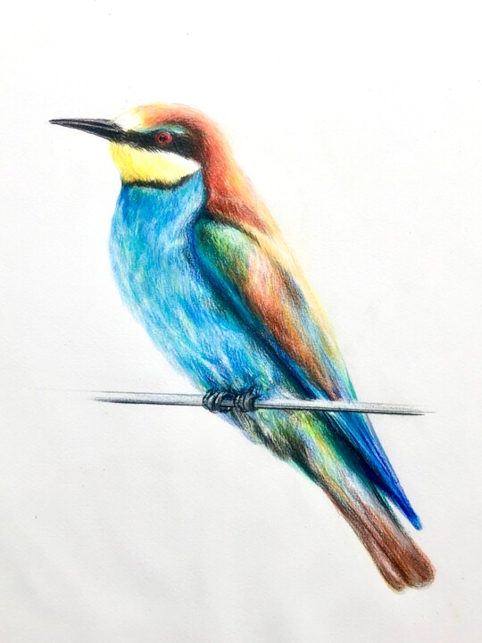 Bienenfresser Nr.2 绘画, 15.8x11.8 in
