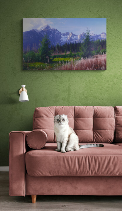 Artwork in situation