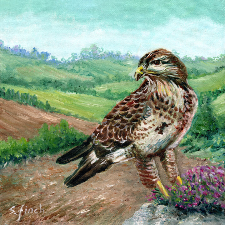 Spirit of Buzzard Pittura, 7,9x7,9 in