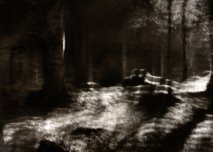 Un coin sauvage..... Photography