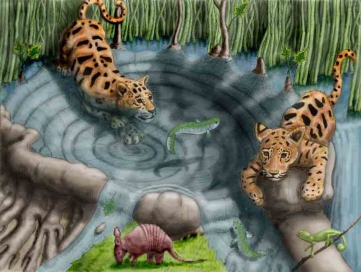 Digital Arts titled "The Fishing Hollow" by Jason Stillman, Original Artwork