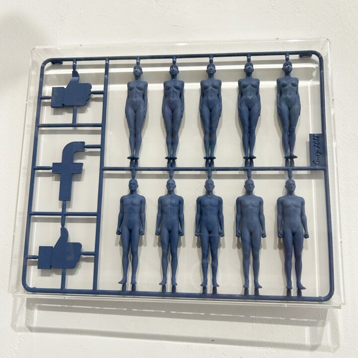 Kit for social addicted (Facebook) 雕塑, 10x12 in