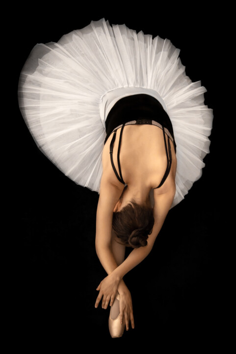 제목이 "Ballerina"인 사진 Dietmar Scherf로, 원작, 디지털 알루미늄에 장착됨
