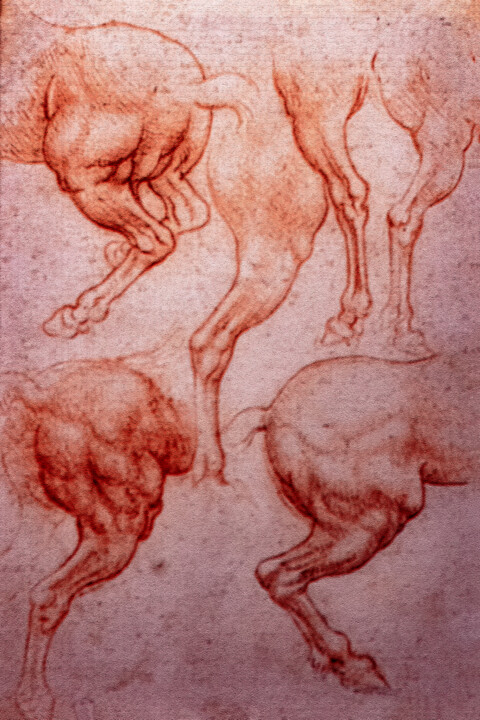 摄影,  39.4x27.6 in 