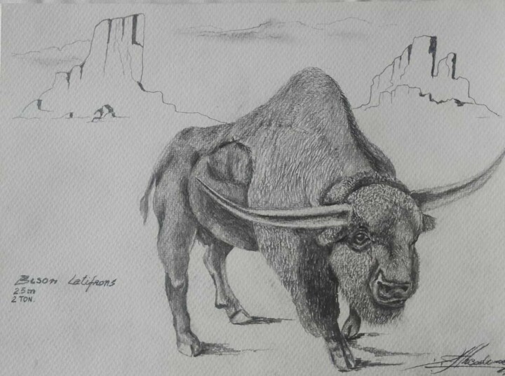 O Majestoso Bisão 图画, 11x15 in