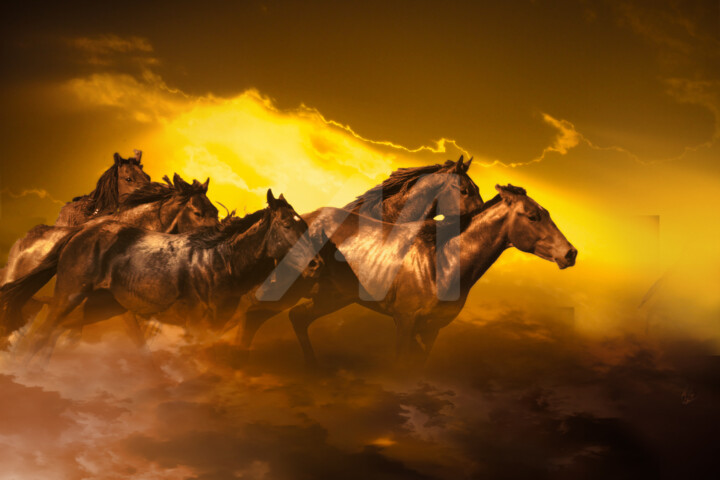 Horses Running Above The Mystic Clouds 3 数字艺术