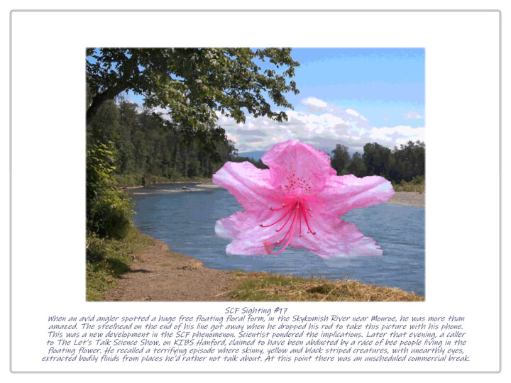 Digital Arts titled "SCF Sighting 17" by Ken Grzesik, Original Artwork, Manipulated Photography