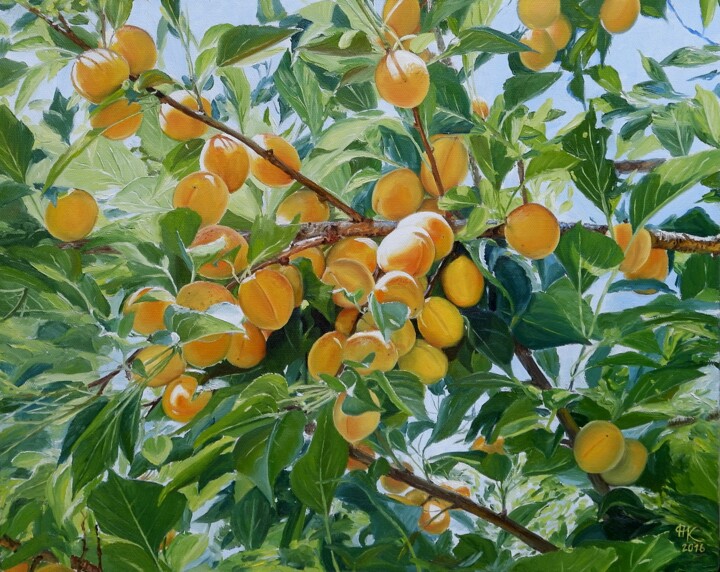 Apricots Painting, 15.8x19.7 in