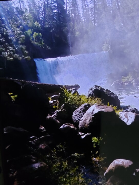 Photo Shoot at the Falls 绘画, 12x9 in