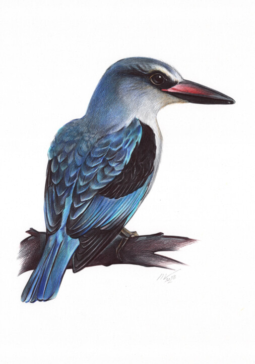 Woodland Kingfisher (Realistic Ballpoint Pen Drawing) 图画, 13x9.1 in