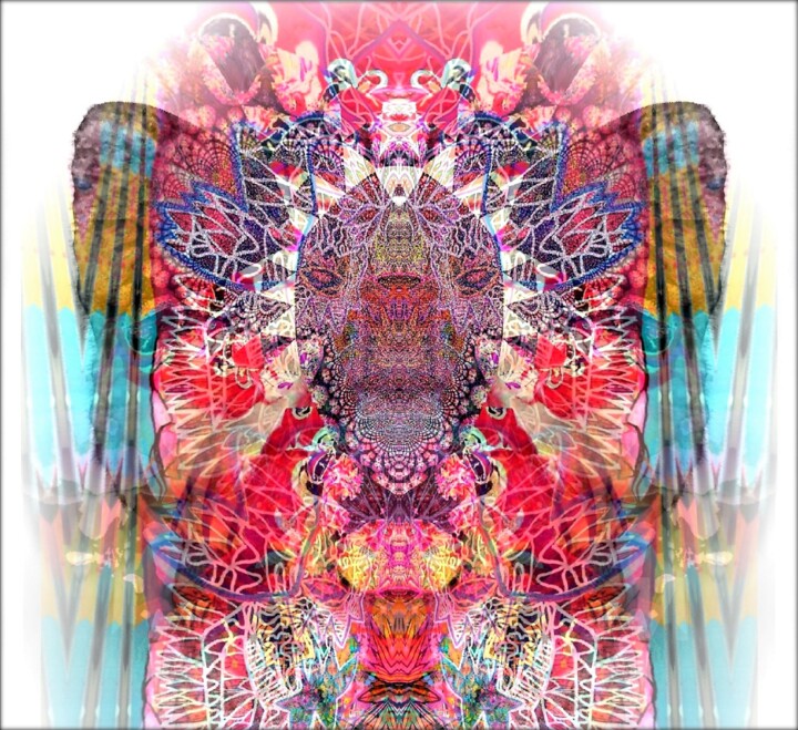 摄影 