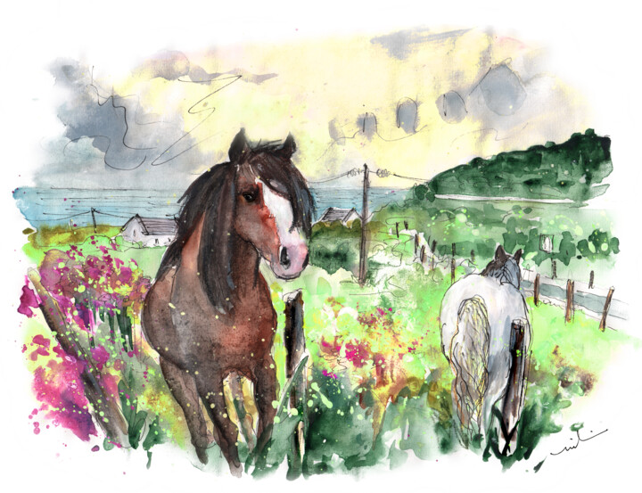 Horses On Llyn Peninsula In Wales 绘画, 8.3x11.8 in