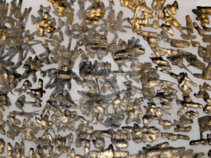 摄影,  36.2x48.8 in 