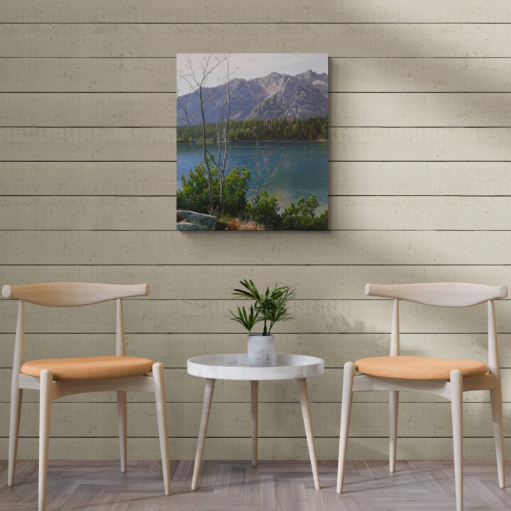 Artwork in situation