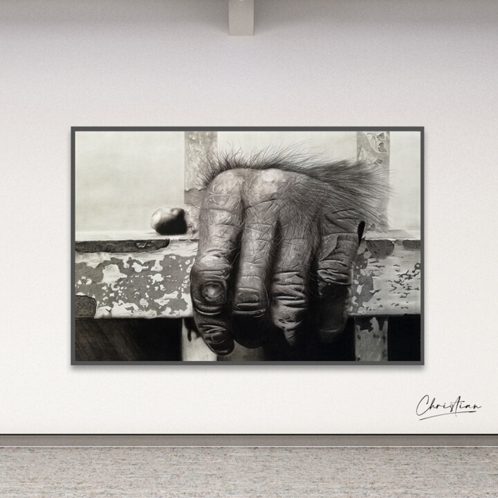 Artwork in situation