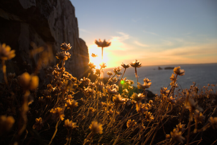 Photography titled "Bretagne estivale" by Corentin Thauvin, Original Artwork, Non Manipulated Photography