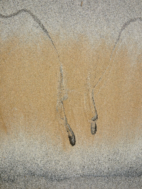 Photographie intitulée "Grains de folie N°21" par Agnes Pelletier, Œuvre d'art originale, Photographie non manipulée