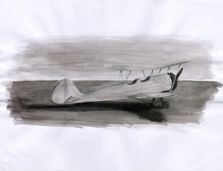 Avion Biplan 绘画, 19.7x25.6 in
