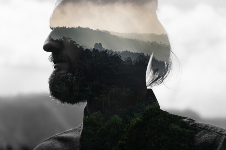 Φωτογραφία με τίτλο "MULTIPLE EXPOSURE.…" από Ivan Cheremisin, Αυθεντικά έργα τέχνης, Ψηφιακή φωτογραφία