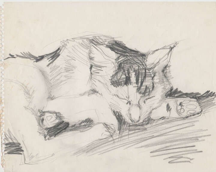 le chat 图画, 8.3x10.2 in