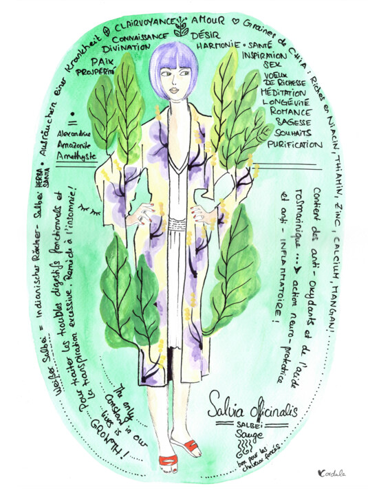 Grimoire 1 Salvia Officinalis 图画, 15.8x11.8 in